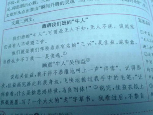 與我班的一位運動員作文開頭