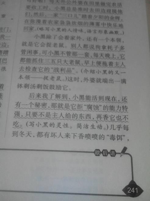 關(guān)于寫小動(dòng)物的作文 (關(guān)于寫小動(dòng)物的作文)