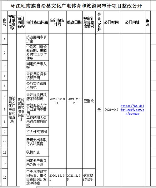 旅游局審計(jì)整改報(bào)告(單位審計(jì)整改報(bào)告)
