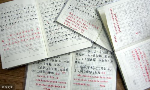 諸暨珍珠寫作文開頭什么寫