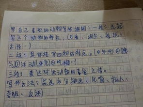 善于小結(jié)的竹子作文(善于小結(jié)的竹子小學生作文)