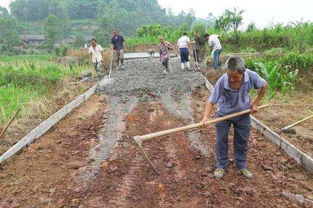 農(nóng)村水泥路修路申請報告（精選）(農(nóng)村水泥路修路申請報告)