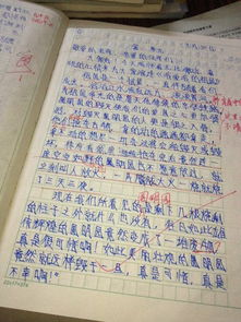 瞧我們這個(gè)班作文開頭結(jié)尾