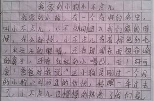我就這樣戰(zhàn)勝了困難作文600字作文開(kāi)頭