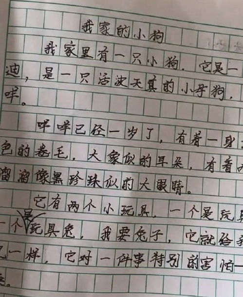 寫人描寫作文開頭結(jié)尾