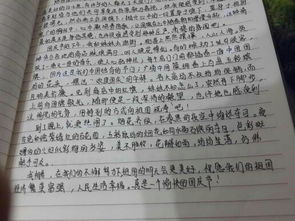 平淡的日子作文的開頭