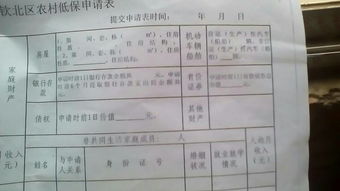 低保申請(qǐng)報(bào)告怎么寫(低保申請(qǐng)報(bào)告該怎么寫)