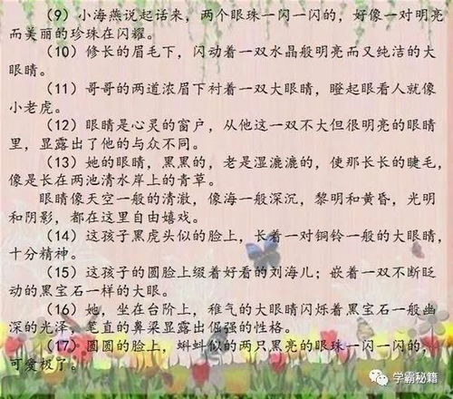 小學(xué)作文人物最佳開(kāi)頭