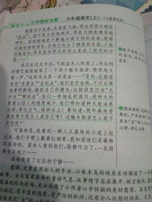 和樹木希望有關(guān)的作文開頭