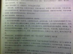 勇于面對困難作文開頭