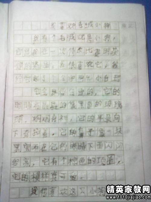 健康作文開頭50字