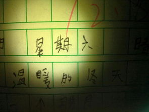 關于生日的作文五百字(關于生日的作文七百字)