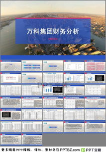 萬(wàn)科財(cái)務(wù)分析報(bào)告(萬(wàn)科財(cái)務(wù)分析報(bào)告)