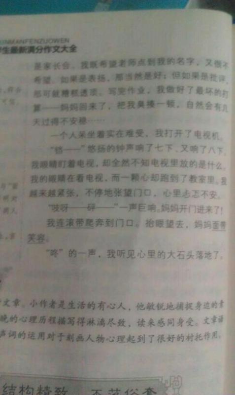 母愛伴我遠(yuǎn)行作文開頭結(jié)尾