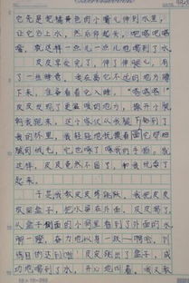 關(guān)于善待動物的作文開頭