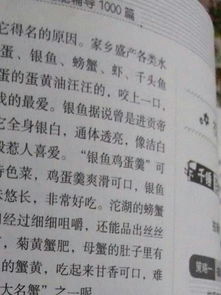 那段在家鄉(xiāng)的時光作文600字作文開頭