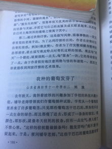 中山路作文1000字(中山路的變遷作文800字)