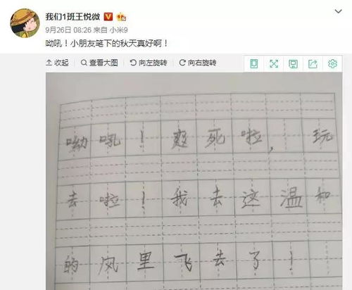 用反義詞開(kāi)頭寫作文