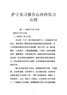 護(hù)士實(shí)踐報(bào)告范文(護(hù)士實(shí)踐報(bào)告范文)