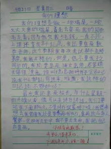 物品也有夢(mèng)想作文600字作文開頭