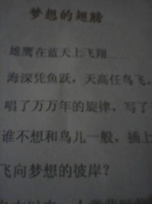 我的體育夢想作文的開頭