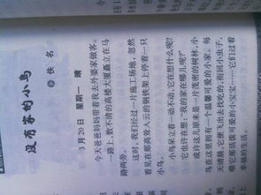 開(kāi)學(xué)第一周周記400字作文開(kāi)頭