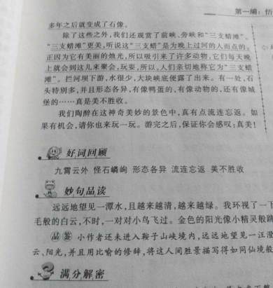 初中夏季寫景作文開(kāi)頭