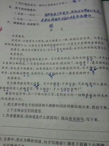 比喻開(kāi)頭法的作文開(kāi)頭,含有比喻的作文開(kāi)頭,運(yùn)用比喻的作文開(kāi)頭