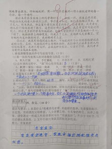 家真好六級作文開頭