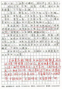 有關(guān)觸動(dòng)心靈的作文開頭