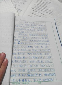 寫友愛關(guān)心的作文800字作文開頭