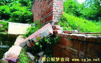 夢(mèng)見圍墻倒塌()
