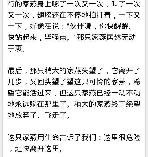 動(dòng)人的作文開頭結(jié)尾