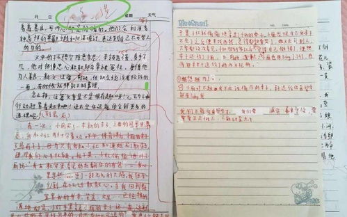糖果作文好開頭