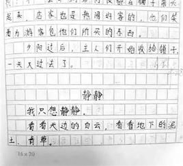 珍貴的東西作文六級(jí)作文開(kāi)頭