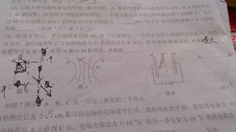 有關舍得的作文開頭