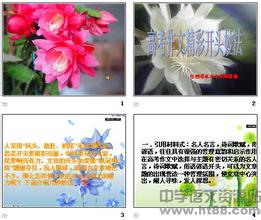 其實(shí)很美高中作文開(kāi)頭
