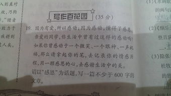 感謝挫折600字作文開頭