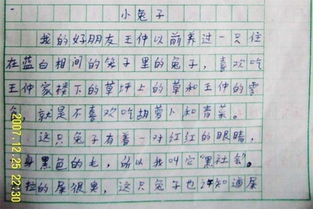 關(guān)于小動物作文的開頭