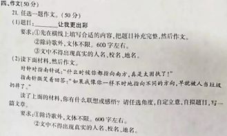 挑戰(zhàn)讓我更出彩作文開(kāi)頭