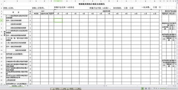 政策執(zhí)行情況自查報告(政策執(zhí)行情況自查報告)