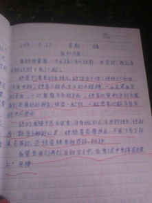一個(gè)同學(xué)600字作文開頭