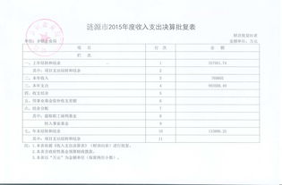 鄉(xiāng)鎮(zhèn)財政預(yù)決算報告(部門預(yù)決算自查報告)