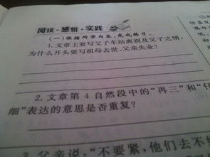 難忘熟悉的背影作文開頭結(jié)尾