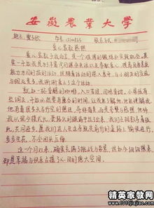 社區(qū)服務(wù)活動(dòng)報(bào)告格式模板(社區(qū)服務(wù)活動(dòng)報(bào)告格式模板)