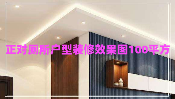 正對(duì)廁所戶(hù)型裝修效果圖100平方