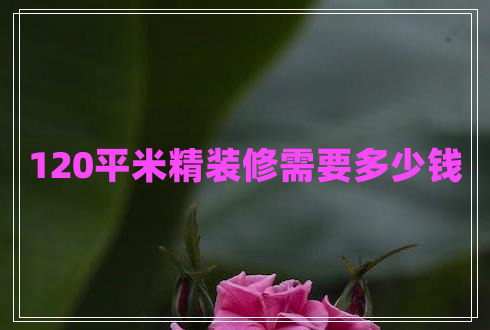 120平米精裝修需要多少錢