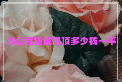 辦公室集成吊頂多少錢一平