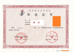 山東大學(xué)自考本科新聞專業(yè)劉凌云