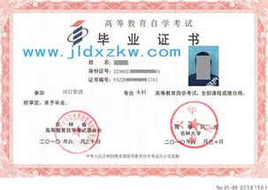 自考本科在籍可以插本嗎